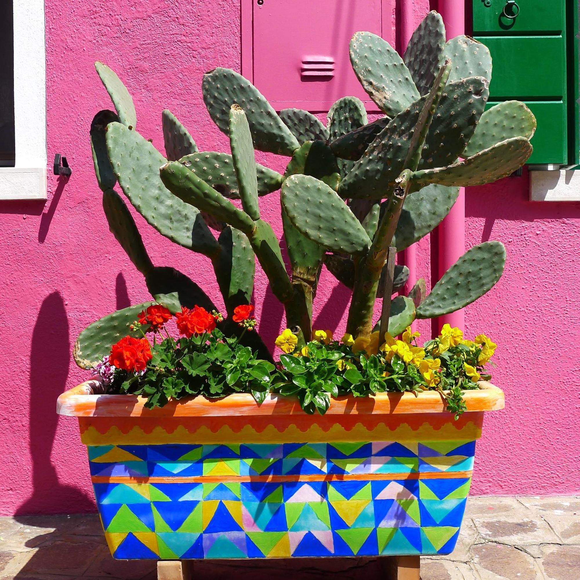 Night Galleria - Bed & Art In - The Pink House * Burano
